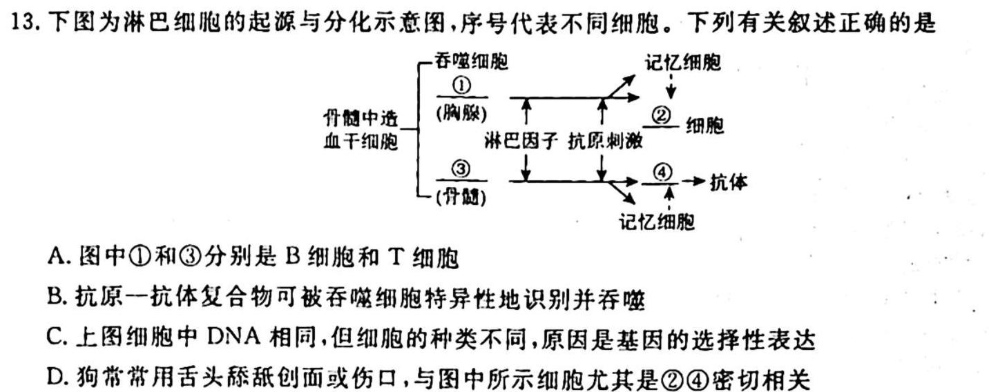 山西省吕梁市2023-2024八年级上学年期中阶段评估卷生物