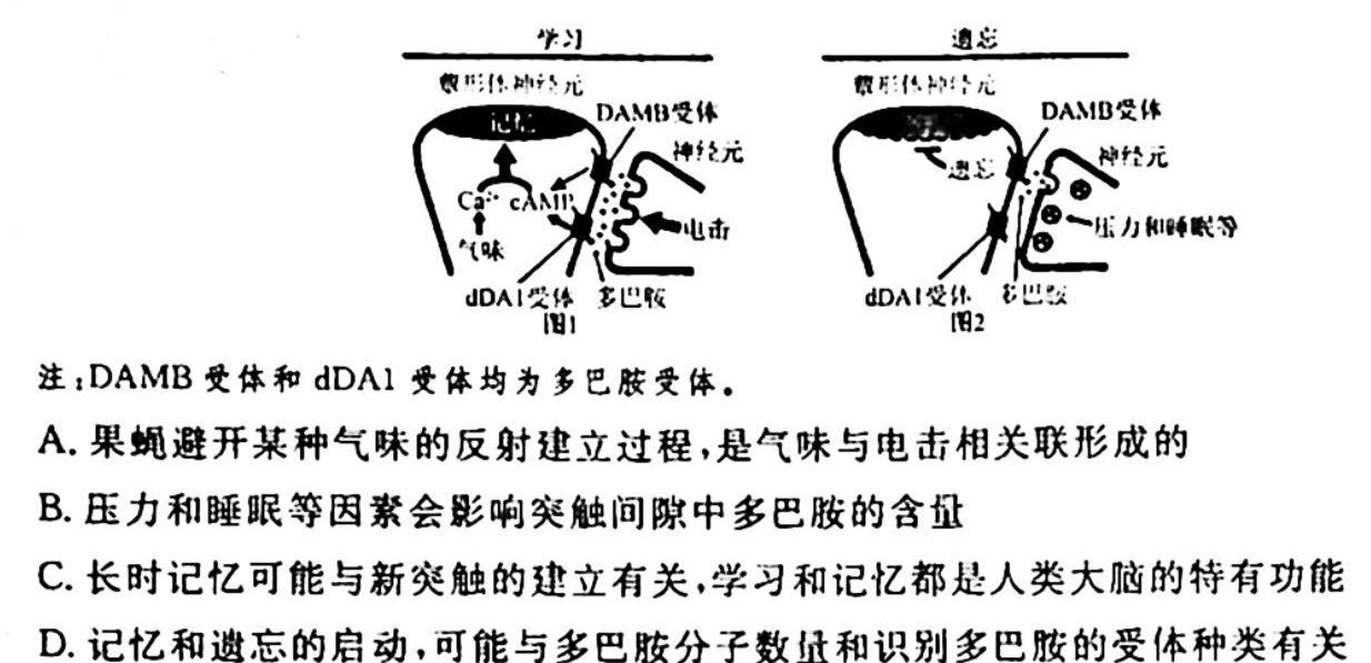 江西省南昌市2023-2024学年度八年级（初二）第一学期期中测试卷生物