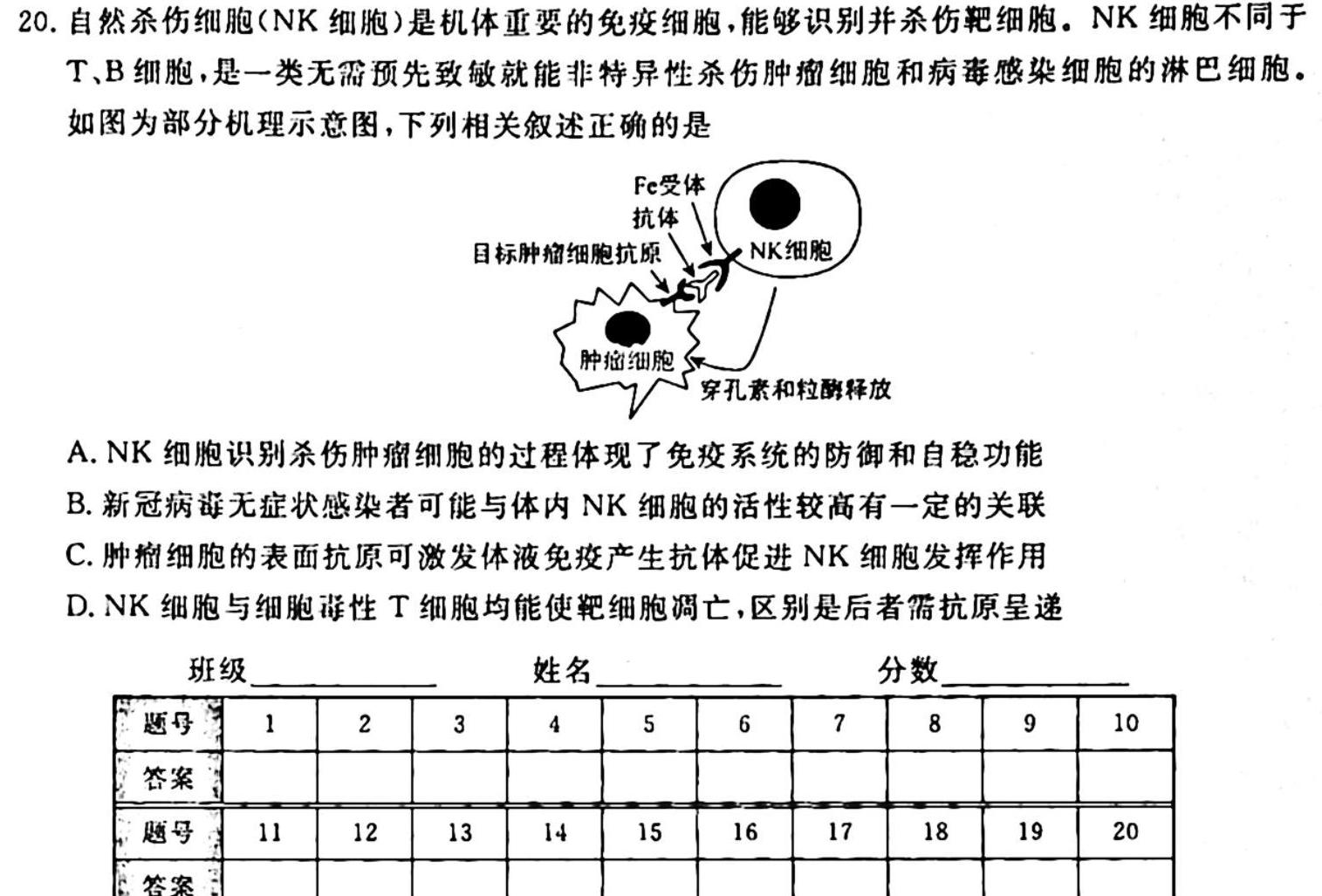 安徽省2024届九年级测试卷一（10.5）生物