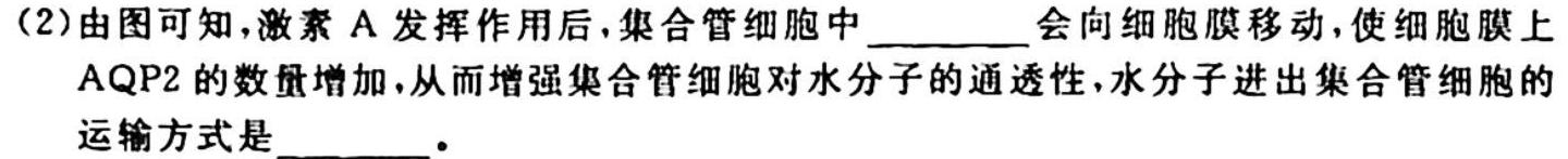百师联盟 2023~2024学年高一十月大联考生物试卷答案