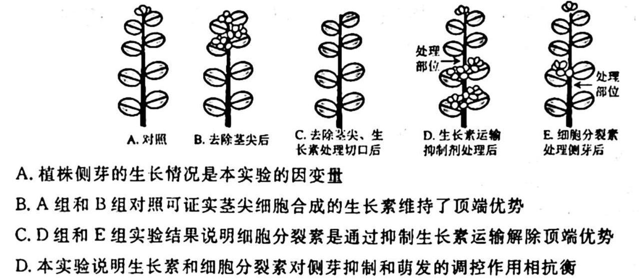 安徽省蚌埠市2024届九年级G5联动教研第一次阶段性调研生物