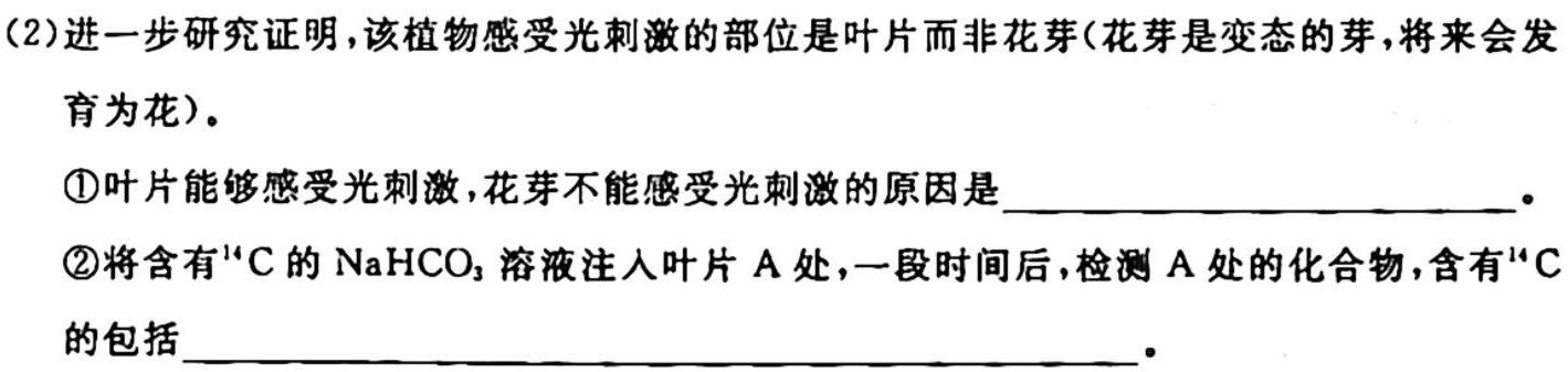 甘肃省2023-2024学年高二第一学期联片办学期中考试(11月)生物学试题答案