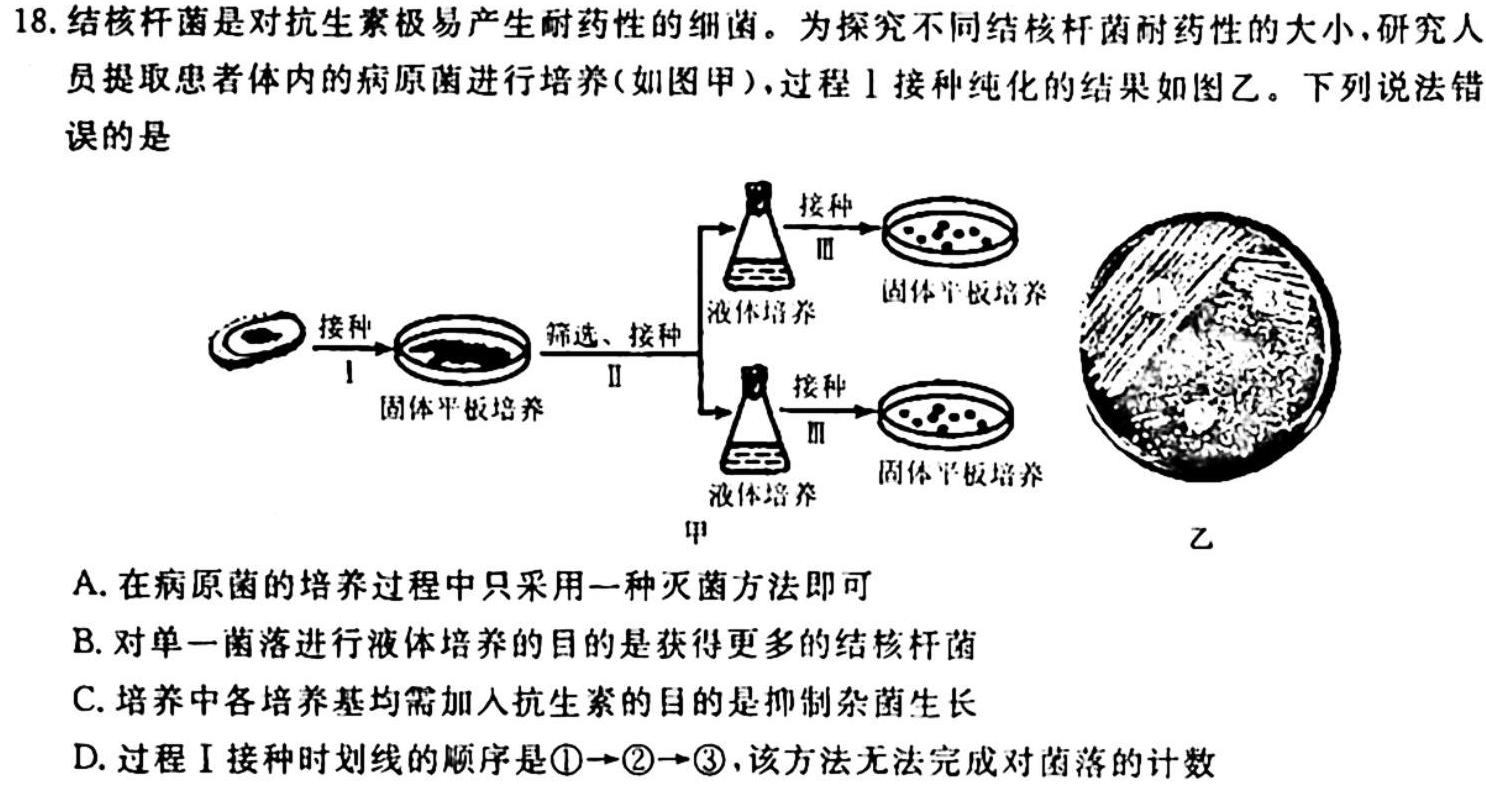 贵州省六盘水市2024届高三年级第一次阶段性监测(24-62C)生物学试题答案