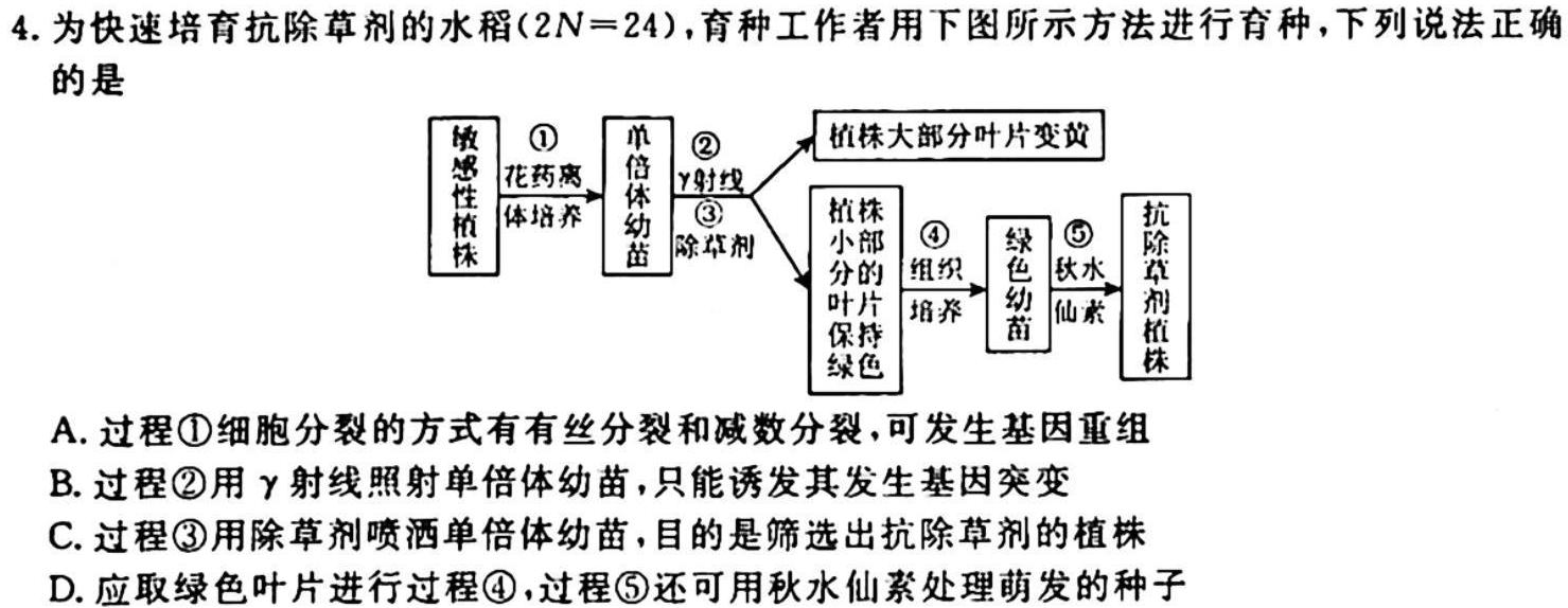 河北省2023~2024学年高三(上)质检联盟期中考试(24-116C)生物学试题答案