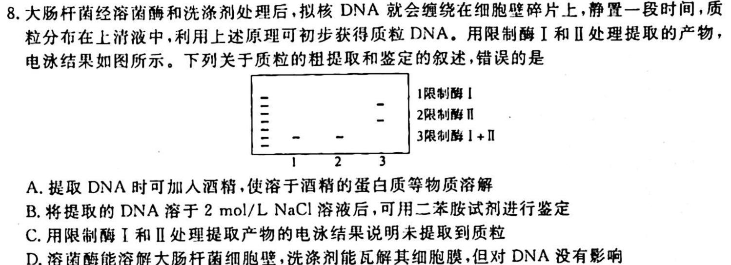 广西省2023-20247学年高二年级10月阶段性考试生物
