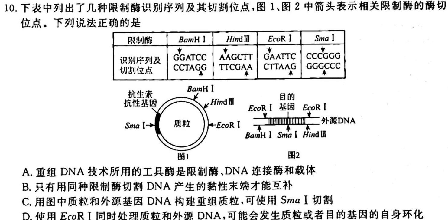 安徽省2023-2024上学期九年级第一次调研生物