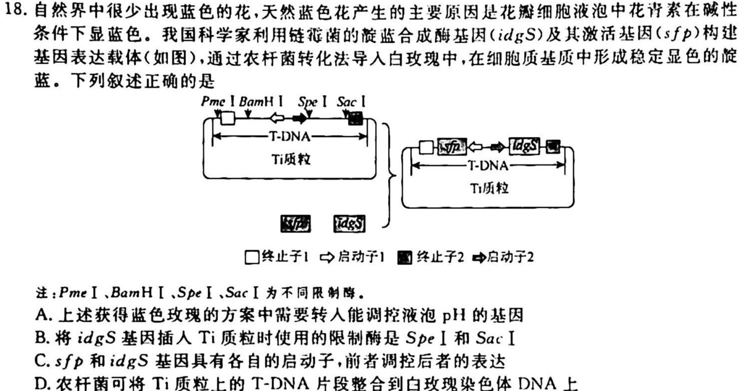 辽宁省2023-2024学年度（上）联合体高三期中检测生物学试题答案