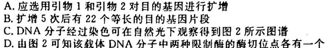 江西省24届高三年级一轮复习阶段检测巩固卷生物学试题答案