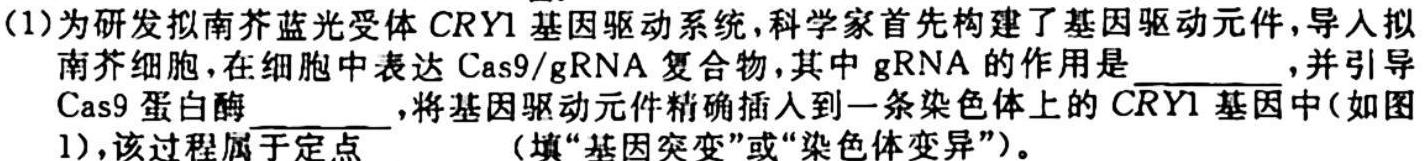 2024届贵州省高三试卷10月联考(24-111C)生物