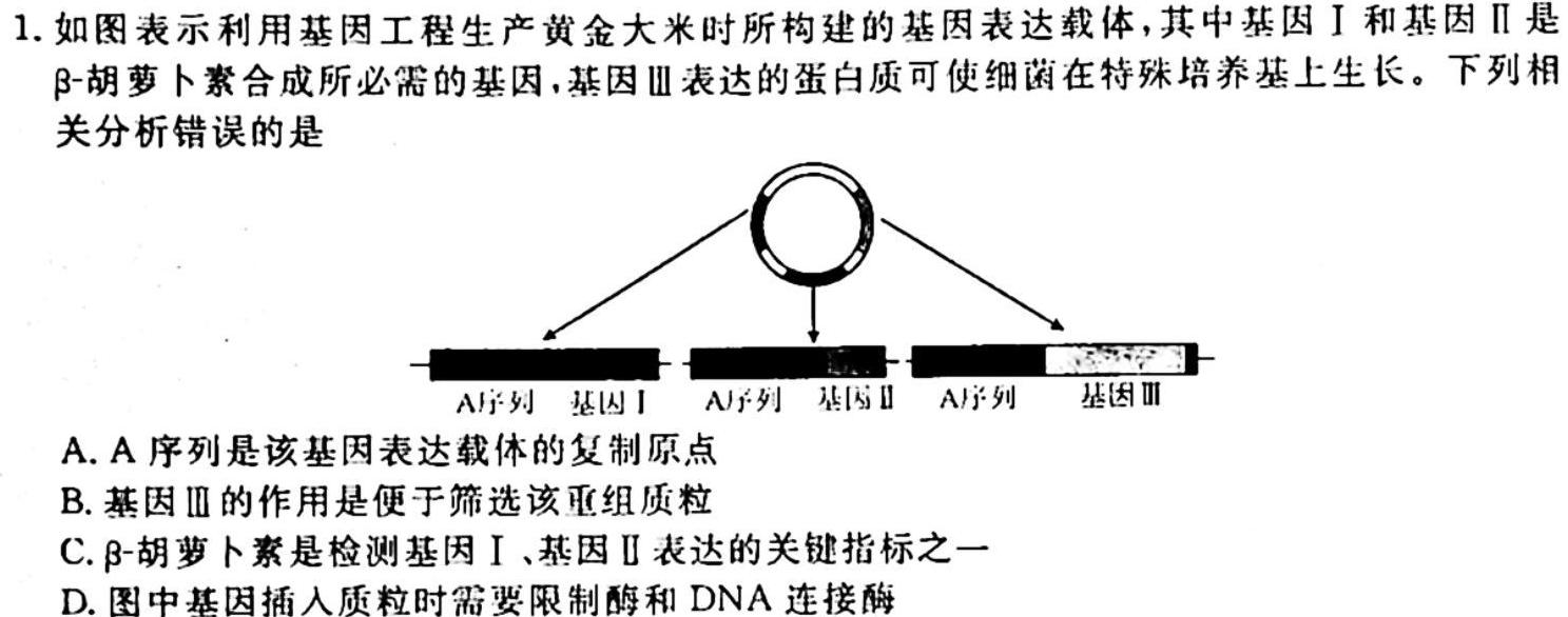 山西省2023~2024学年高二上学期10月月考(242075D)生物学试题答案