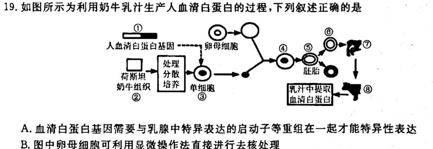 河北省2023-2024学年示范性高中高二年级期中质量检测联合测评生物学试题答案