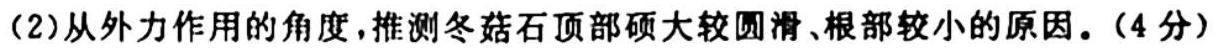 河南省2023-2024学年高三试卷11月联考(五个圆圈 HEN)地理试卷l