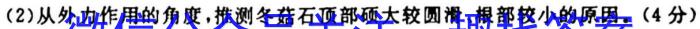 齐市普高联谊校2023-2024学年高二年级下学期期中考试(24053B)地理试卷答案