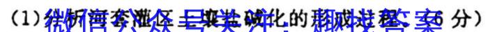 东北育才学校科学高中部2023-2024学年高三年级考前最后一模地理试卷答案