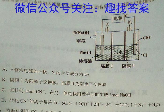 q河南省2023-2024学年度七年级第一学期阶段性测试卷(二)化学