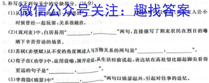 2023-2024学年（上）南阳六校高一年级期中考试语文