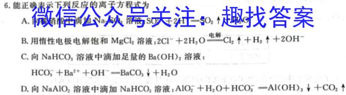 q陕西省2023-2024学年第一学期初三年级九上第一次练习化学