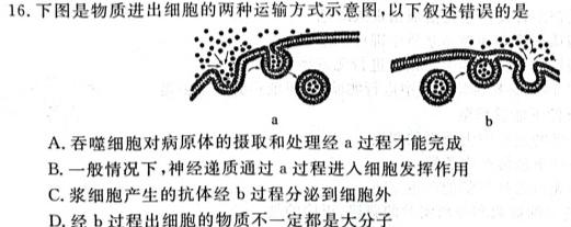 甘肃省2024届高三阶段检测(24-114C)生物学试题答案