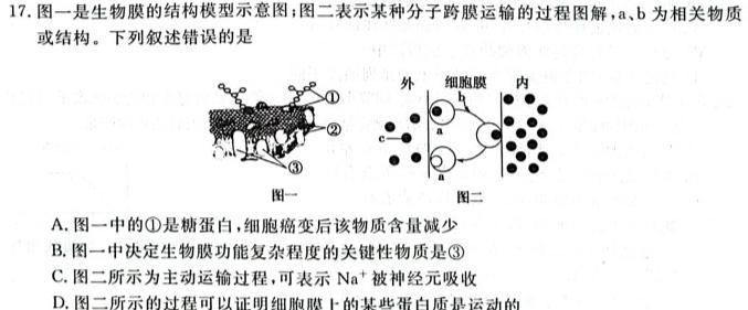 2024届滚动联考02生物