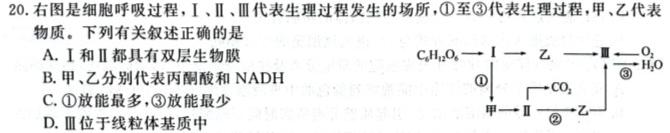 广东省2024届湛江市普通高中毕业班调研测试(24-105C)生物学试题答案