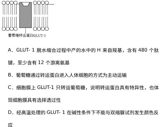 江西省2024届九年级初中目标考点测评（十五）生物学试题答案