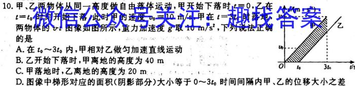 江西省2024届九年级初中目标考点测评（十）物理`