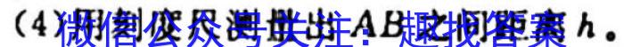 学林教育 2023~2024学年度九年级第一学期调研检测l物理