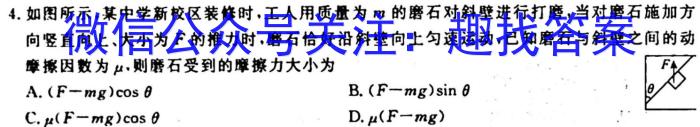 安徽省2024届灵壁第六初级中学九年级素质检测一l物理