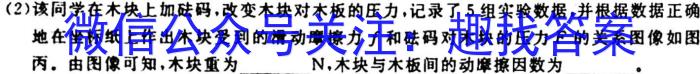 2024年普通高等学校统一模拟招生考试新未来10月联考（高二）q物理