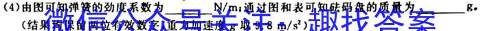 河南省2023-2024学年八年级综合素养评估(一)l物理