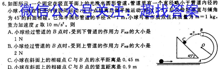 江西省2024届九年级初中目标考点测评（十二）物理`