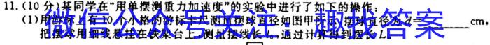 吉林省"通化优质高中联盟”2023~2024学年度高二上学期期中考试(24-103B)f物理