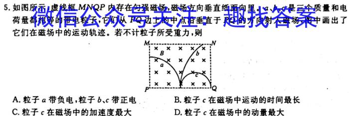 河南省2023-2024学年度上学期高三阶段性考试q物理