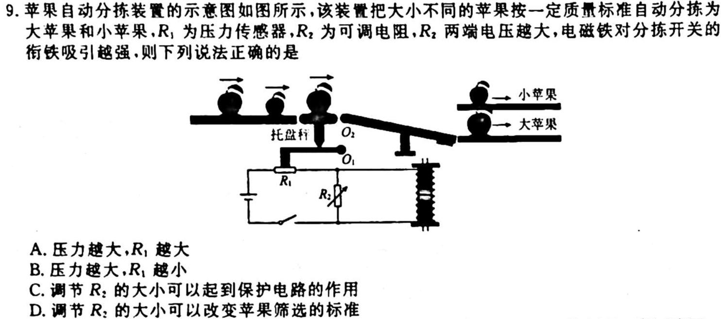 [今日更新]NT教育·2023-2024学年第一学期11月高二阶段测试卷.物理试卷答案