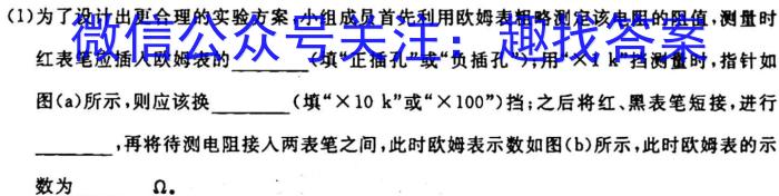 2024届高三10月大联考（新高考卷）l物理