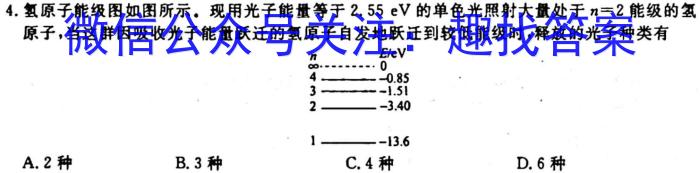 NT2023-2024学年第一学期10月高一阶段测试卷q物理