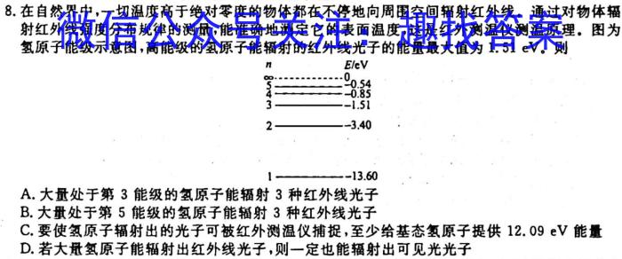 河南省洛阳市2025届高二10月联考q物理