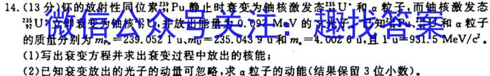 安徽省2023-2024学年度第一学期九年级作业辅导练习（二）f物理