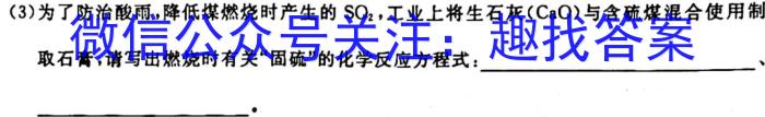 q皖智教育·全程达标卷·安徽第一卷·2023-2024学年九年级全程达标卷期中调研卷化学