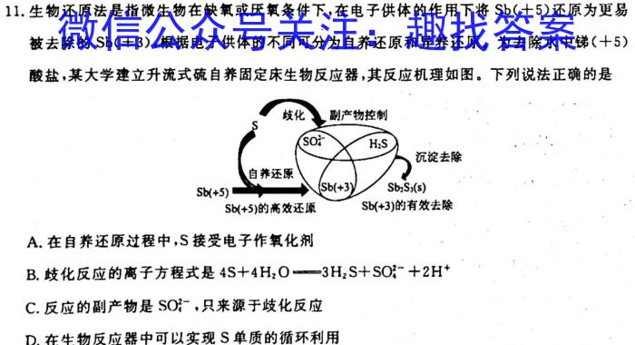 f2024年普通高等学校统一模拟招生考试新未来10月联考（高三）化学