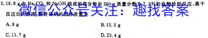 q安徽省2023-2024学年度八年级上学期期中综合评估【2LR】化学