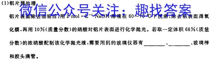 q安徽省2024届九年级测试卷一（10.5）化学