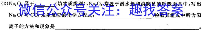 q江西省赣州市2023-2024学年第一学期九年级期中质量检测化学