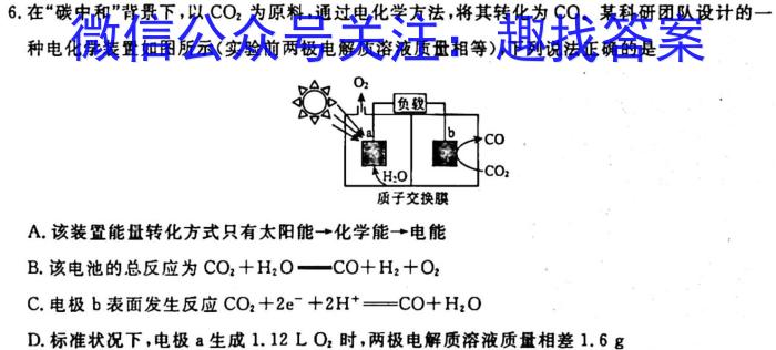 q九师联盟2023-2024学年高三10月质量检测（湖北卷）化学