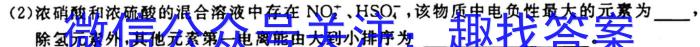 3百师联盟•山东省2023-2024学年高一十月大联考化学