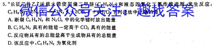 3河南省信阳市2023-2024学年度八年级上学期第一次月考质量检测化学