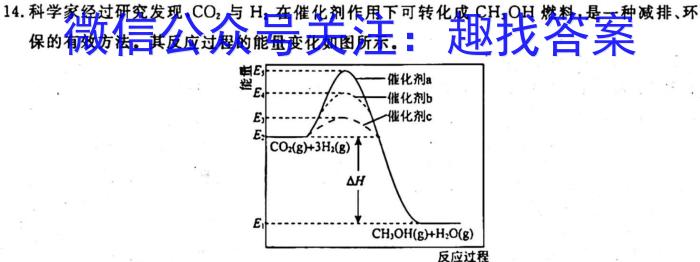 1贵州省六盘水市2024届高三年级第一次阶段性监测(24-62C)化学