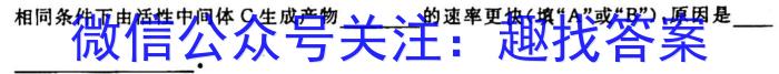 q河北省石家庄市栾城区2023-2024学年度第一学期七年级期中教学质量检测化学