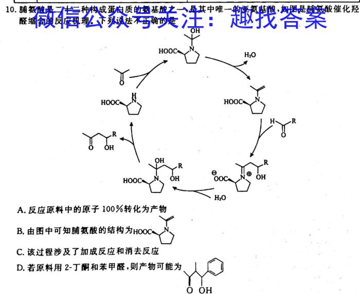 q学科网2024届高三10月大联考考后强化卷(全国乙卷)化学