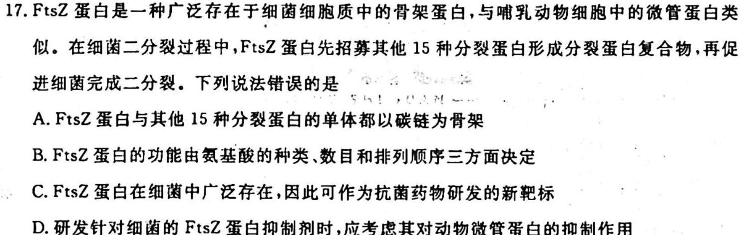 金科大联考·河北省2024届高三10月质量检测生物试卷答案